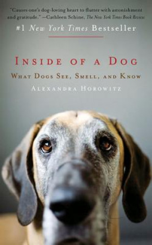 Kniha Inside Of A Dog Alexandra Horowitz