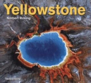 Knjiga Yellowstone Norbert Rosing
