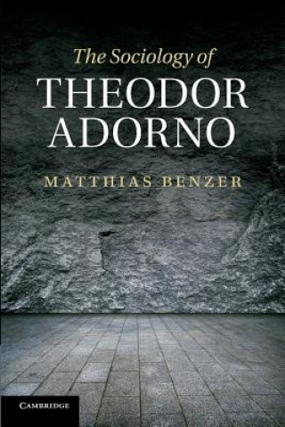 Kniha Sociology of Theodor Adorno Matthias Benzer