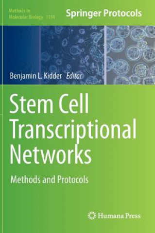 Könyv Stem Cell Transcriptional Networks Benjamin L. Kidder