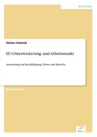 Buch EU-Osterweiterung und Arbeitsmarkt Stefan Schmid