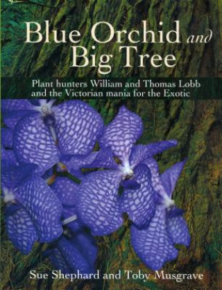 Carte Blue Orchid and Big Tree Sue Shephard