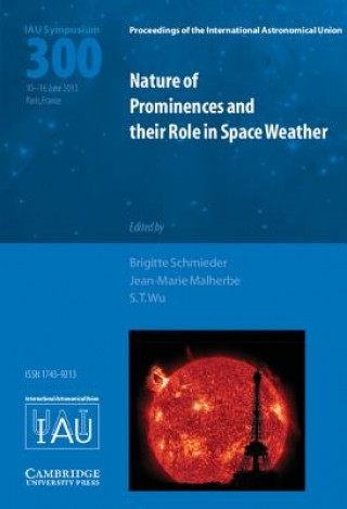 Kniha Nature of Prominences and their Role in Space Weather (IAU S300) Brigitte Schmieder