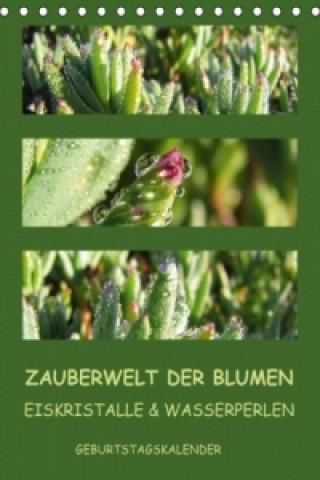 Calendar / Agendă Zauberwelt der Blumen - Eiskristalle & Wasserperlen / Geburtstagskalender (Tischkalender immerwährend DIN A5 hoch) Tanja Kiesow