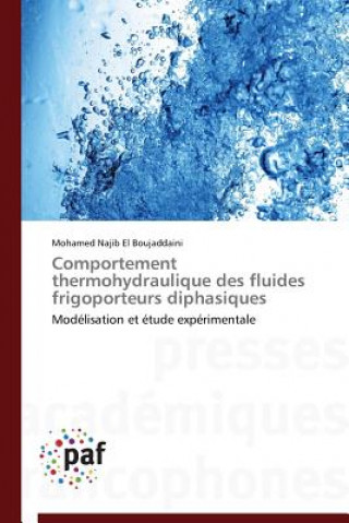 Carte Comportement Thermohydraulique Des Fluides Frigoporteurs Diphasiques Mohamed Najib El Boujaddaini