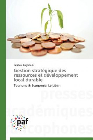 Könyv Gestion Strategique Des Ressources Et Developpement Local Durable Ibrahim Baghdadi