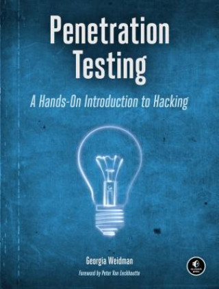 Kniha Penetration Testing Georgia Weidman