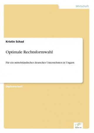 Knjiga Optimale Rechtsformwahl Kristin Schad