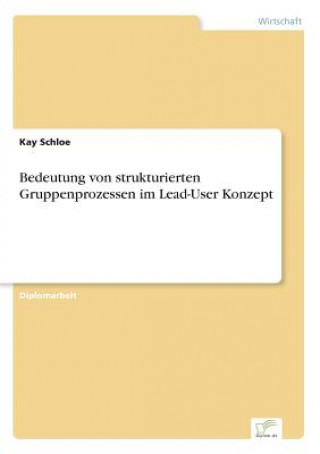 Könyv Bedeutung von strukturierten Gruppenprozessen im Lead-User Konzept Kay Schloe