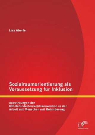 Kniha Sozialraumorientierung als Voraussetzung fur Inklusion Lisa Aberle