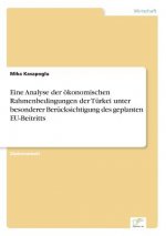 Könyv Eine Analyse der oekonomischen Rahmenbedingungen der Turkei unter besonderer Berucksichtigung des geplanten EU-Beitritts Mika Kasapoglu