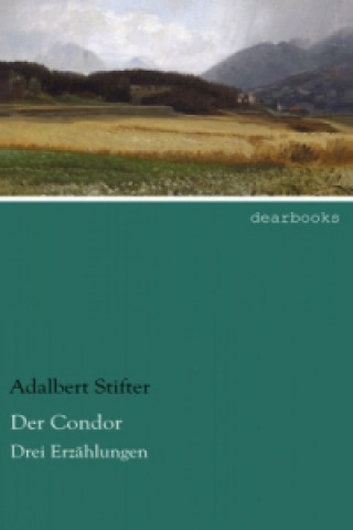 Kniha Der Condor Adalbert Stifter