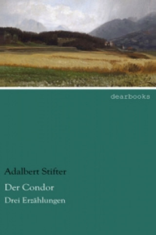 Libro Der Condor Adalbert Stifter