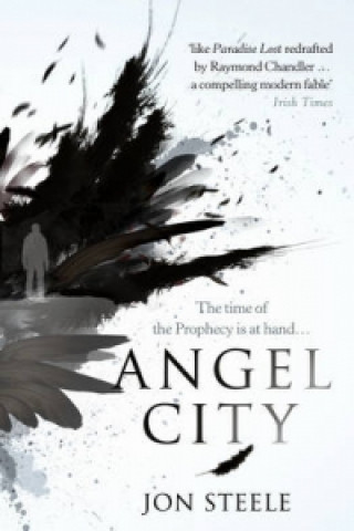 Książka Angel City Jon Steele