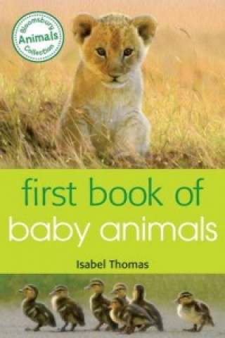 Carte First Book of Baby Animals Isabel Thomas