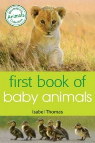 Knjiga First Book of Baby Animals Isabel Thomas