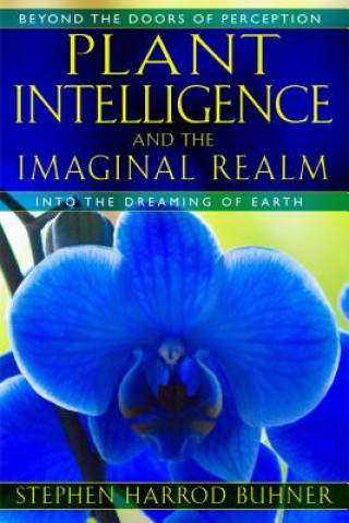 Kniha Plant Intelligence and the Imaginal Realm Stephen Harrod Buhner