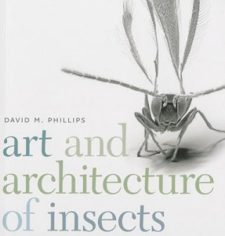 Kniha Art and Architecture of Insects David M. Phillips