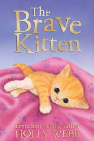 Carte Brave Kitten Holly Webb