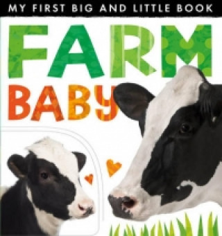 Könyv My First Big and Little Book: Farm Baby Annette Rusling