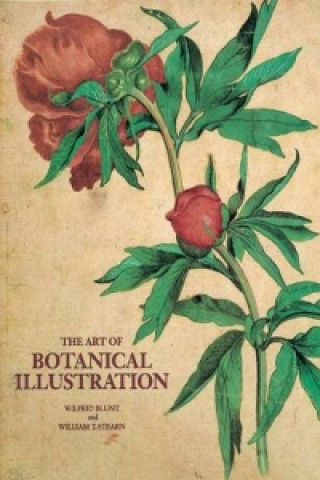 Knjiga Art of Botanical Illustration Wilfred Blunt