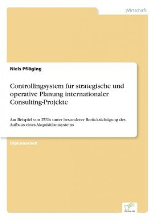 Könyv Controllingsystem fur strategische und operative Planung internationaler Consulting-Projekte Niels Pfläging