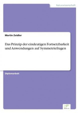 Книга Prinzip der eindeutigen Fortsetzbarkeit und Anwendungen auf Symmetriefragen Martin Zeidler