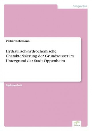 Kniha Hydraulisch-hydrochemische Charakterisierung der Grundwasser im Untergrund der Stadt Oppenheim Volker Gehrmann