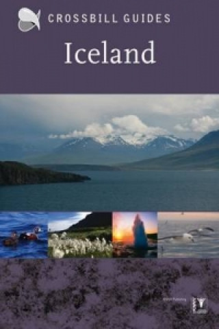 Kniha Iceland Andy Jones