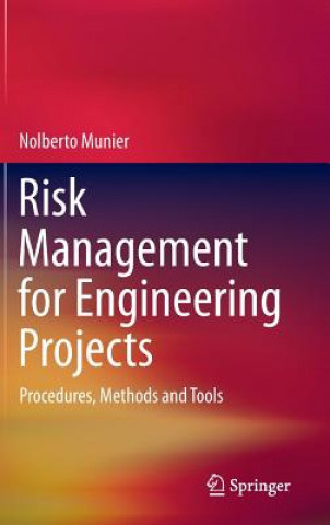 Kniha Risk Management for Engineering Projects Nolberto Munier