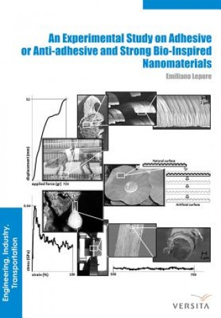 Książka Experimental Study on Adhesive or Anti-adhesive, Bio-inspired Experimental Nanomaterials Emiliano Lepore