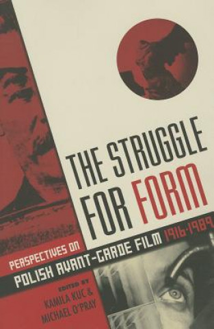 Book Struggle for Form Kamila Kuc