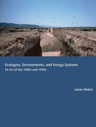 Kniha Ecologies, Environments, and Energy Systems in Art of the 1960s and 1970s James Nisbet