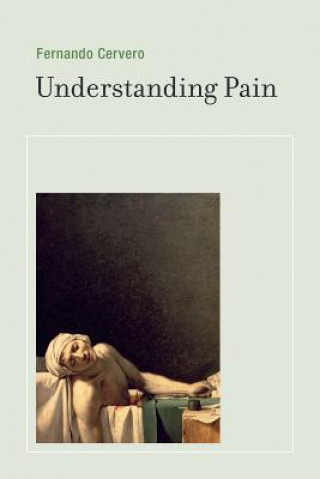 Könyv Understanding Pain Fernando Cervero
