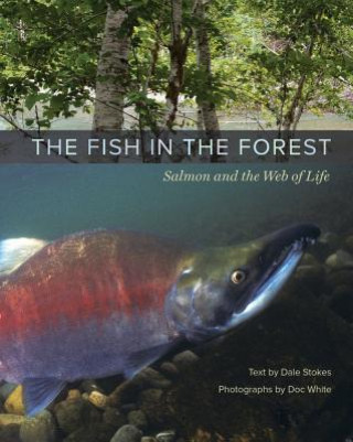 Kniha Fish in the Forest M Dale Stokes