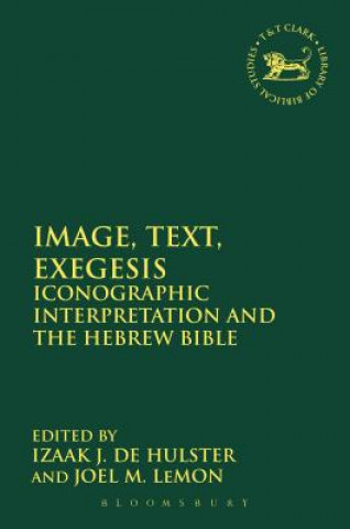 Kniha Image, Text, Exegesis Izaak J de Hulster