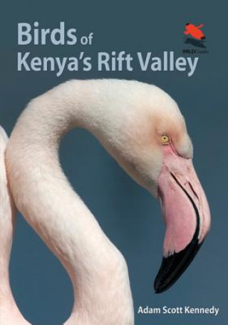 Carte Birds of Kenya's Rift Valley Adam Scott Kennedy
