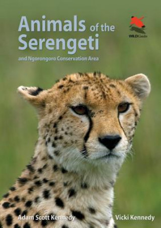 Carte Animals of the Serengeti Adam Scott Kennedy