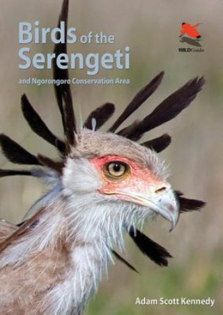 Kniha Birds of the Serengeti Adam Scott Kennedy