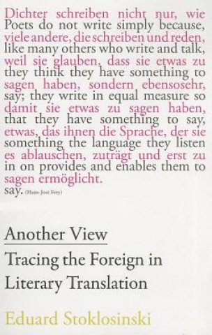 Libro Another View - Tracing the Foreign in Literary Translation Eduard Stoklosinski