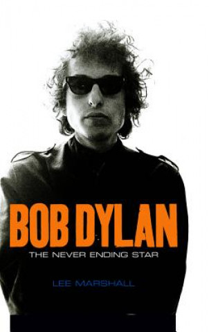 Book Bob Dylan - The Never Ending Star Lee Marshall