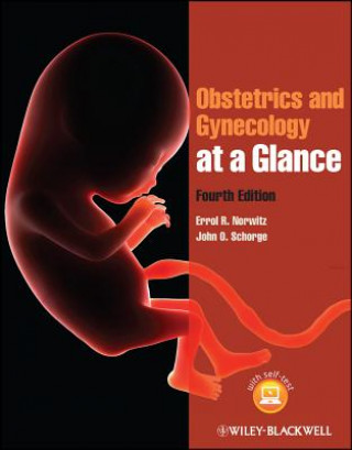 Könyv Obstetrics and Gynecology at a Glance 4e Errol R. Norwitz