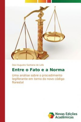 Książka Entre o Fato e a Norma Davi Augusto Santana de Lelis