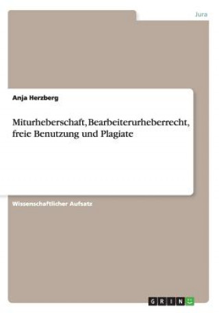 Könyv Miturheberschaft, Bearbeiterurheberrecht, freie Benutzung und Plagiate Anja Herzberg