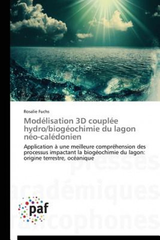 Carte Modelisation 3D Couplee Hydro/Biogeochimie Du Lagon Neo-Caledonien Rosalie Fuchs