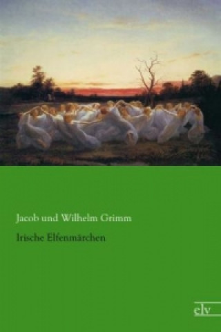 Książka Irische Elfenmärchen Jacob und Wilhelm Grimm