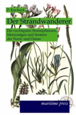 Kniha Der Strandwanderer P. Kuckuck
