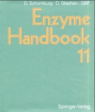 Kniha Enzyme Handbook Dietmar Schomburg