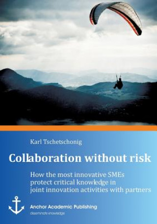 Knjiga Collaboration Without Risk Karl Tschetschonig