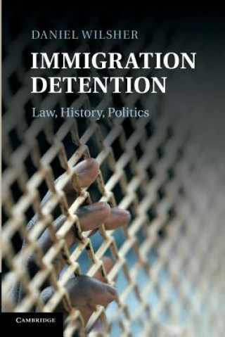 Kniha Immigration Detention Daniel Wilsher